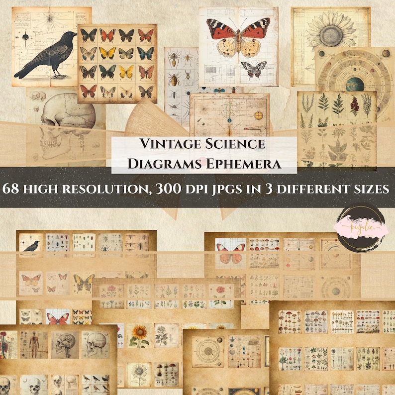 Puede incluir: Una colecci&oacute;n de diagramas cient&iacute;ficos y ef&iacute;meras vintage. La imagen presenta ilustraciones de mariposas, insectos, un cuervo, un cr&aacute;neo y elementos bot&aacute;nicos. El texto dice "VINTAGE SCIENCE DIAGRAMS EPHEMERA" y "68 HIGH RESOLUTION, 300 DPI JPGs IN 3 DIFFERENT SIZES."
