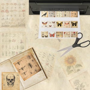 Puede incluir: Una impresora muestra im&aacute;genes de estilo vintage de insectos, mariposas, flores y una calavera. Un par de tijeras est&aacute; al lado de las im&aacute;genes impresas. El fondo es de color beige claro con otras im&aacute;genes de estilo vintage.