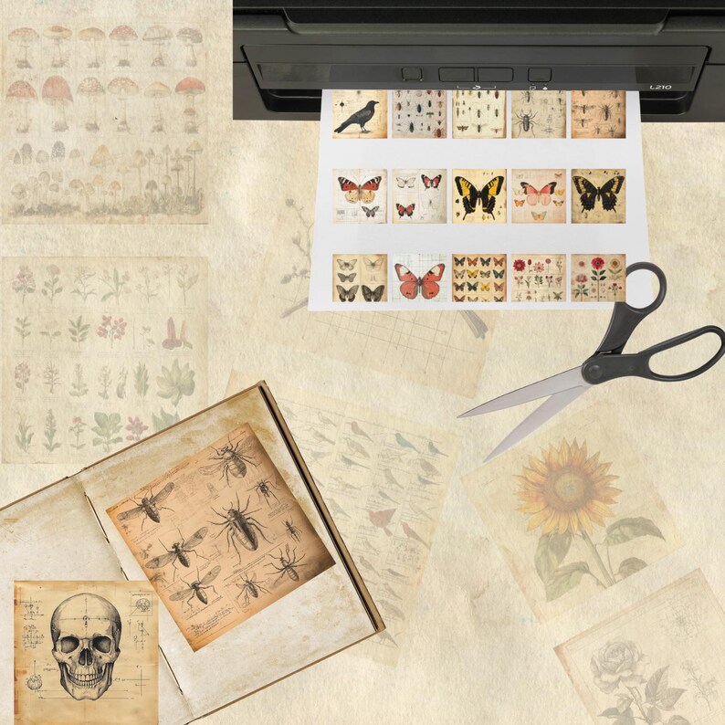 Puede incluir: Una impresora muestra im&aacute;genes de estilo vintage de insectos, mariposas, flores y una calavera. Un par de tijeras est&aacute; al lado de las im&aacute;genes impresas. El fondo es de color beige claro con otras im&aacute;genes de estilo vintage.