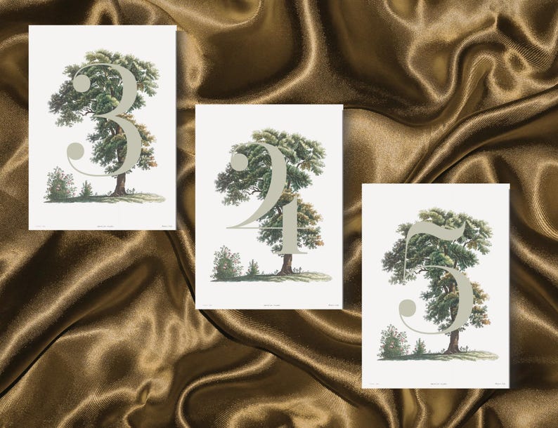 Oak Tree Table Numbers | Wedding Canva Template (instant Download) - Etsy