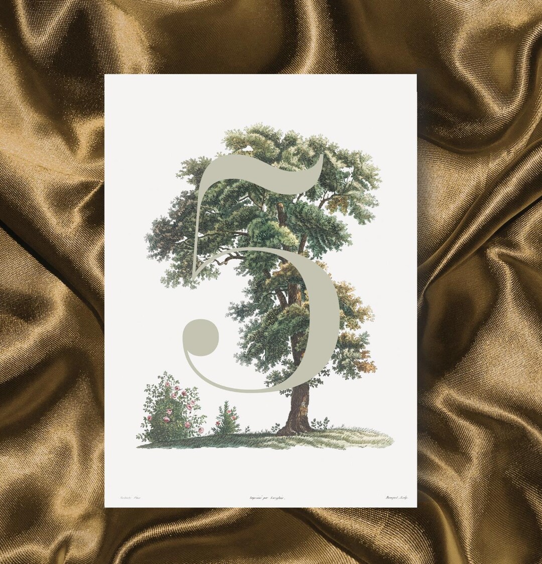 Oak Tree Table Numbers | Wedding Canva Template (instant Download) - Etsy