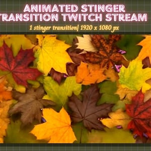 Puede incluir: Una transición animada para un stream de Twitch, con una vibrante exhibición de hojas de otoño. Las hojas son en tonos de rojo, amarillo, naranja y marrón. El texto dice "ANIMATED STINGER TRANSITION TWITCH STREAM" y "1 stinger transition/ 1920 x 1080 px".