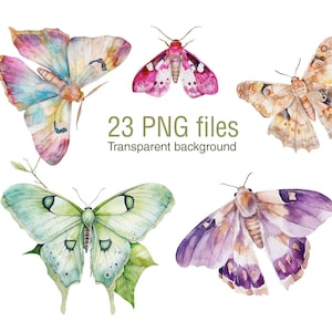 Motte Clip Art PNG digitale ClipArt, Schmetterling Aquarell Clipart, Einladungskunst, Sublimation, Aufkleber Junk Journal, kommerzielle Nutzung