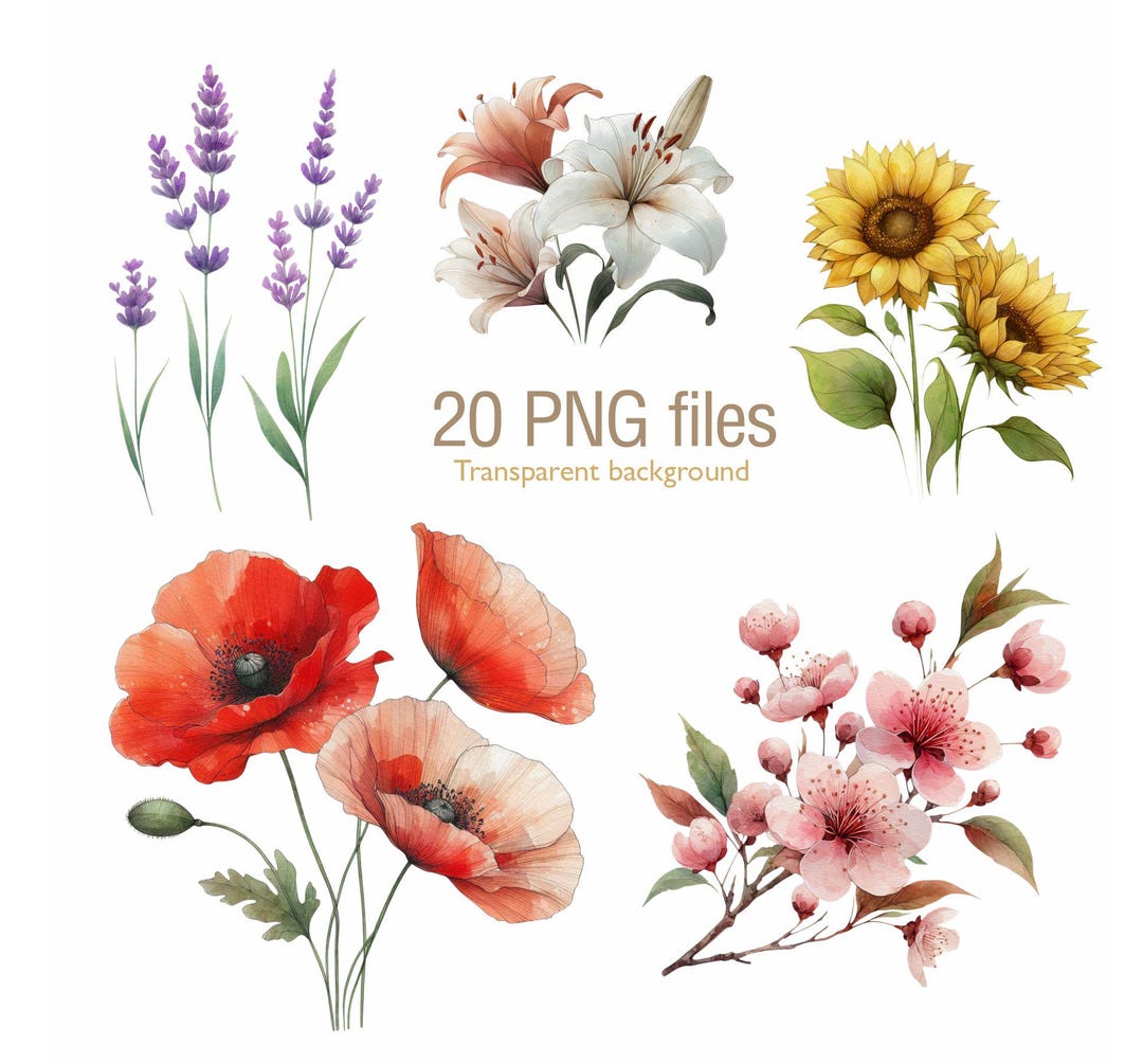 Spring Floral Clp Art PNG, Spring Flowers, Watercolor Wildflowers ...