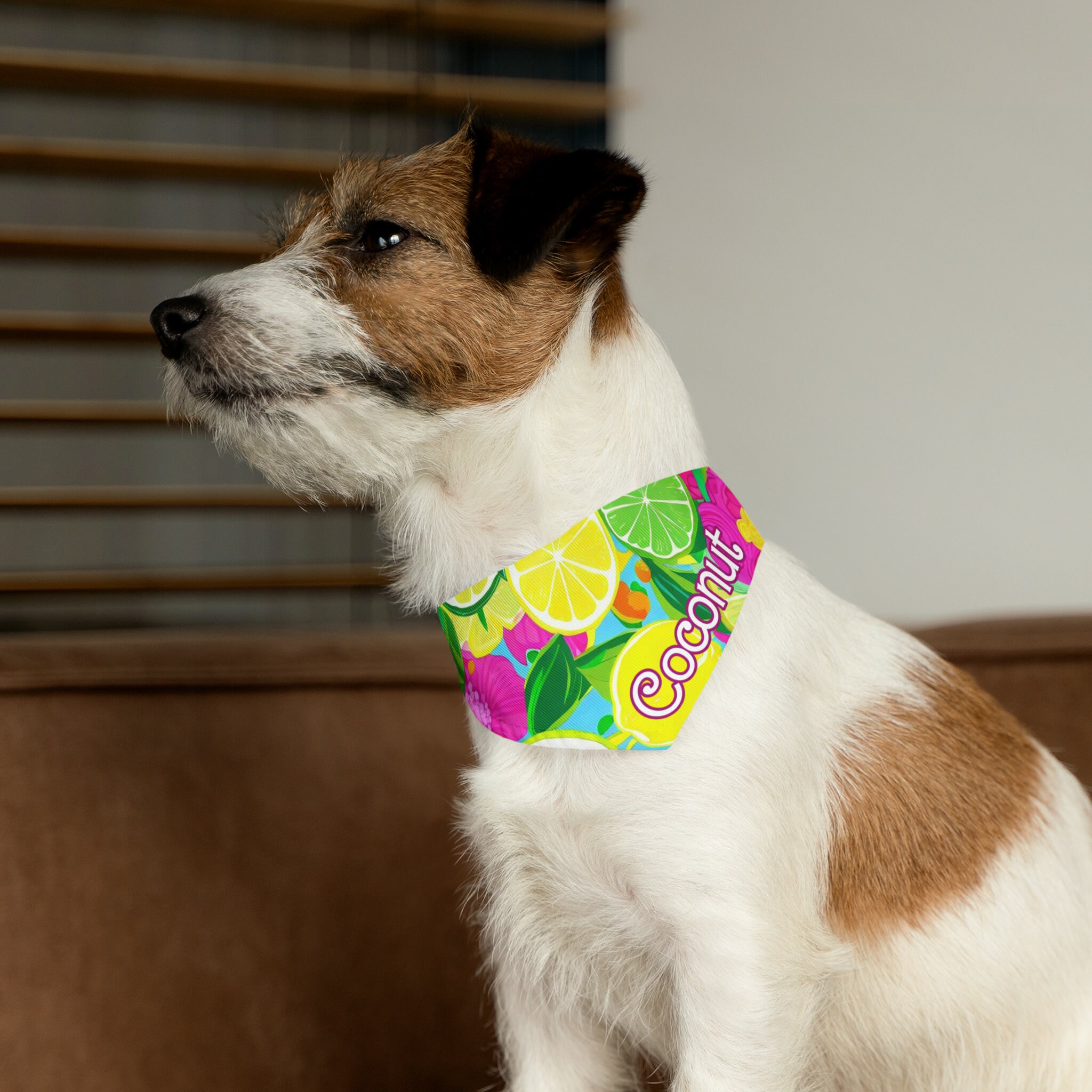 Personalized Pet Bandana/collar, Preppy Pet Bandana/collar, Lemon Lime
