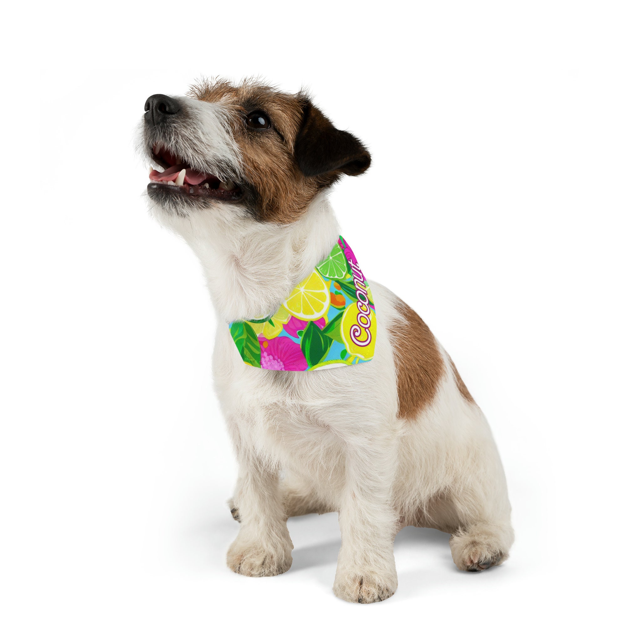 Personalized Pet Bandana/collar, Preppy Pet Bandana/collar, Lemon Lime