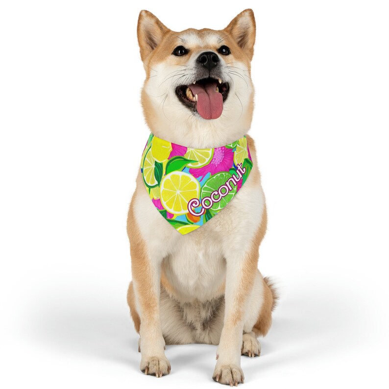 Personalized Pet Bandana/collar, Preppy Pet Bandana/collar, Lemon Lime