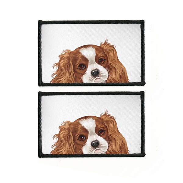 Dog Clothes for King Charles Cavalier Etsy