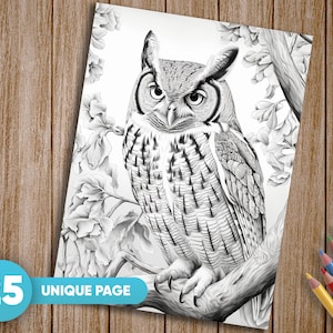 25 Birds Coloring Pages for Adults, Tropical Birds Coloring Pages