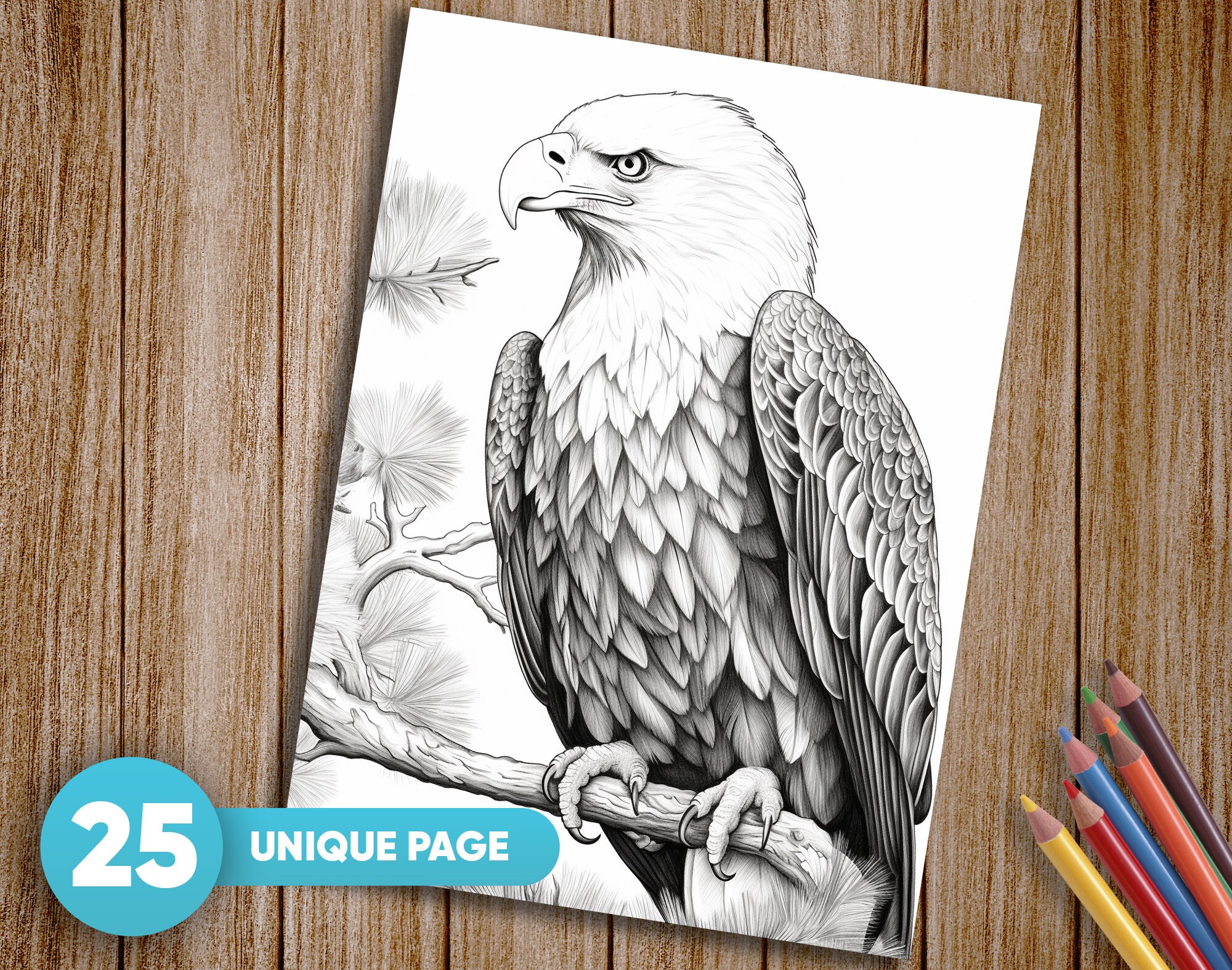 25 Birds Coloring Pages for Adults Tropical Birds Coloring - Etsy