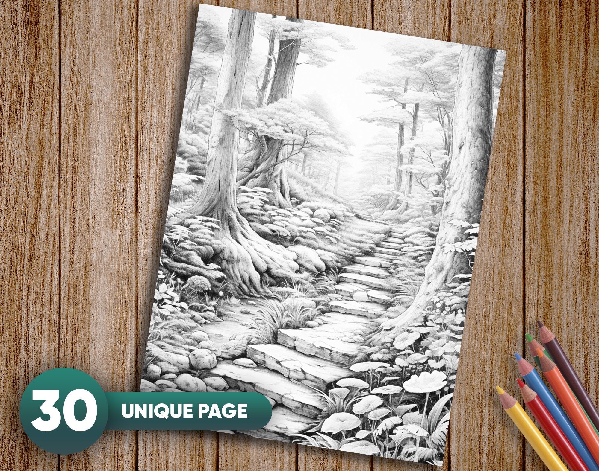 Enchanted Forest Coloring Pages: 30 Grayscale Magical Scenes (PDF) - Etsy