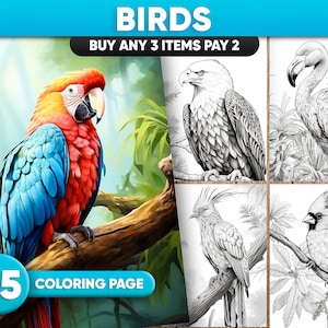 25 Birds Coloring Pages for Adults Tropical Birds Coloring - Etsy