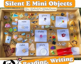 Silent E Magic E Long Vowel Sounds Miniature Objects Writing Reading Spelling Tool Teacher Aid SLP Educational Hands-on Play Based Learning