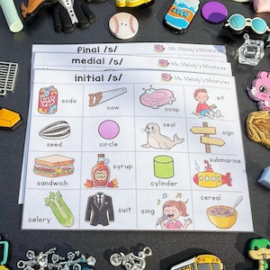 Articulation Speech Therapy Language Mini Objects /S/ words Initial, Medial, Final Position, Homeschool Learning, I Spy Sensory Bin