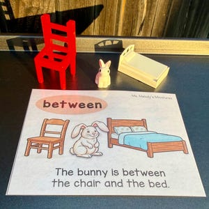 Spatial Concept Preposition Mini Object Kit Interactive Hands On Learning Slp Homeschool Montessori Location Task Box Bunny Edition