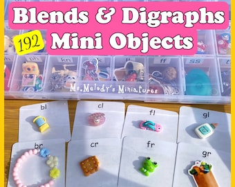 Blends Digraphs Double Letter Phonics Set Montessori Miniature Objects Letter Sound SLP I Spy Trinkets Reading Writing Spelling Homeschool