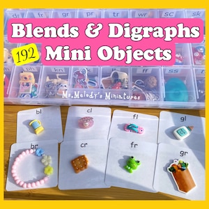 Blends Digraphs Double Letter Phonics Set Montessori Miniature Objects Letter Sound SLP I Spy Trinkets Reading Writing Spelling Homeschool