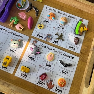 May include: A wooden tray with educational materials. Includes printed cards with the text "I Can Find the CVC Objects!" and various miniature objects like a cat, bat, and sun. The tray also contains a purple container.