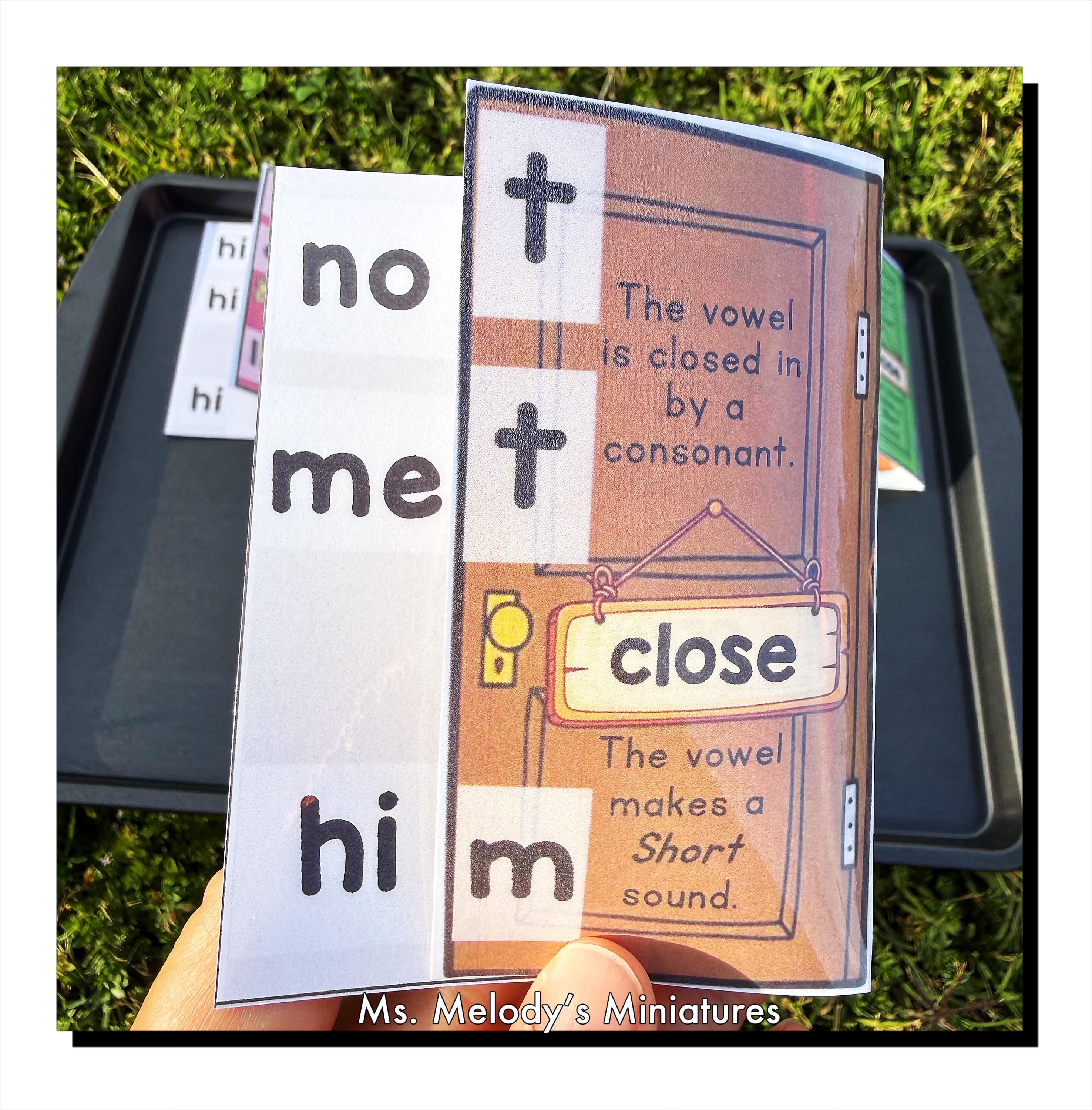 Open & Closed Syllable Interactive Mini Objects Kit Science of Reading ...