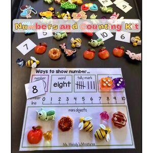 May include: A Numbers and Counting Kit featuring miniature objects like apples, bees, and donuts. The kit includes number cards, a counting chart, and dice. The text "Numbers and Counting Kit" is displayed on the image.