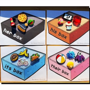 May include: Four illustrated boxes labeled "her box", "his box", "its box", and "their box". Each box contains miniature food and objects, including pizza, a phone, a donut, and a beach ball. The boxes are on a white background.