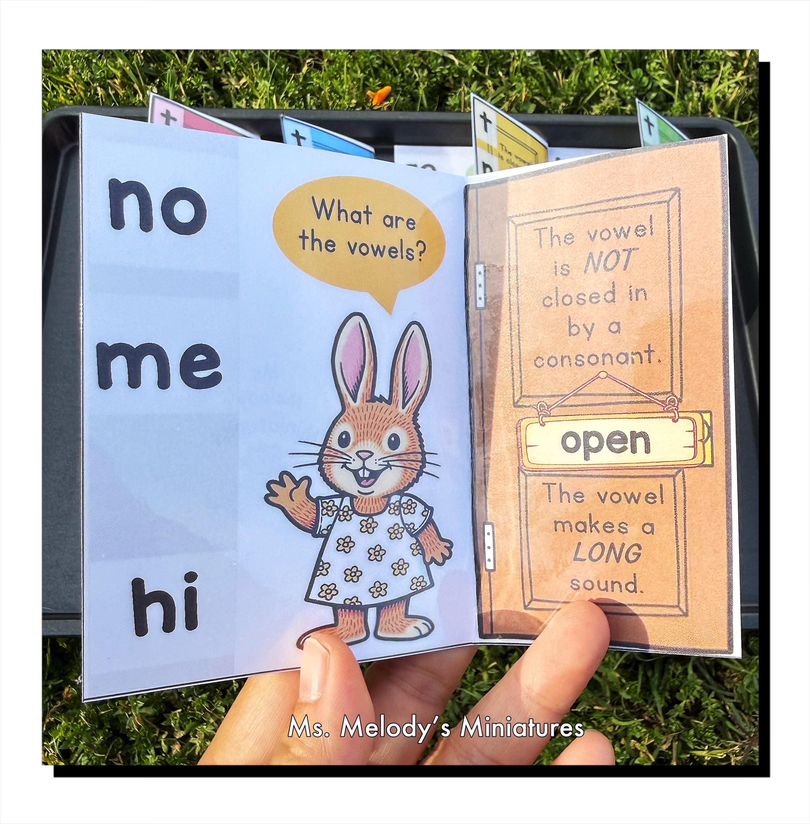 Open Close Objects Open & Closed Syllable Interactive Mini Objects Kit Science of Reading ...