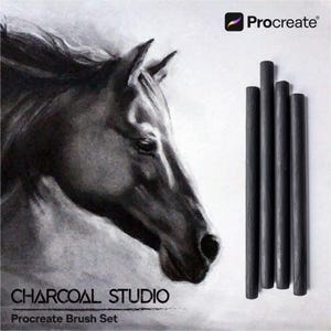 Charcoal Studio Procreate Brush Set: 15 Digital Drawing Brushes