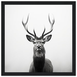 Schwarzwald Hirsch | Black Forest Poster | Schwarzwald Bild | Trachten | Bollenhut | Geschenk