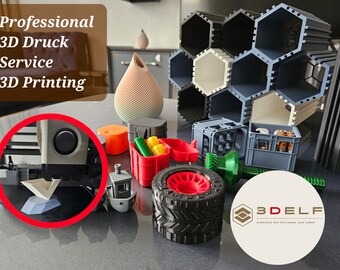 Professional 3D printing service 3Delf, prototyping, 3D model, figure, decoration, office, household, nameplate, logo, individual and series production
