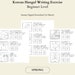 see more listings in the Korean Worksheets section