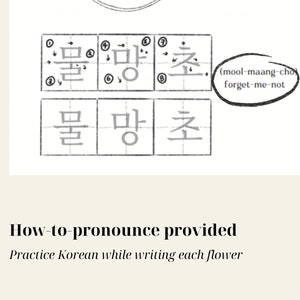 Flowers Hangul Worksheets - Part 3 | Beginner Friendly | Self-Study | Korean Writing & Coloring (Vol 2) | Samsoon Adventures  (PDF Download)