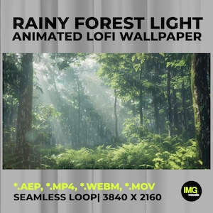Sfondo animato, Luce della foresta piovosa / Sfondo animato Lofi, Video salvaschermo 4K rilassante con pioggia / Animazione in loop della natura tranquilla
