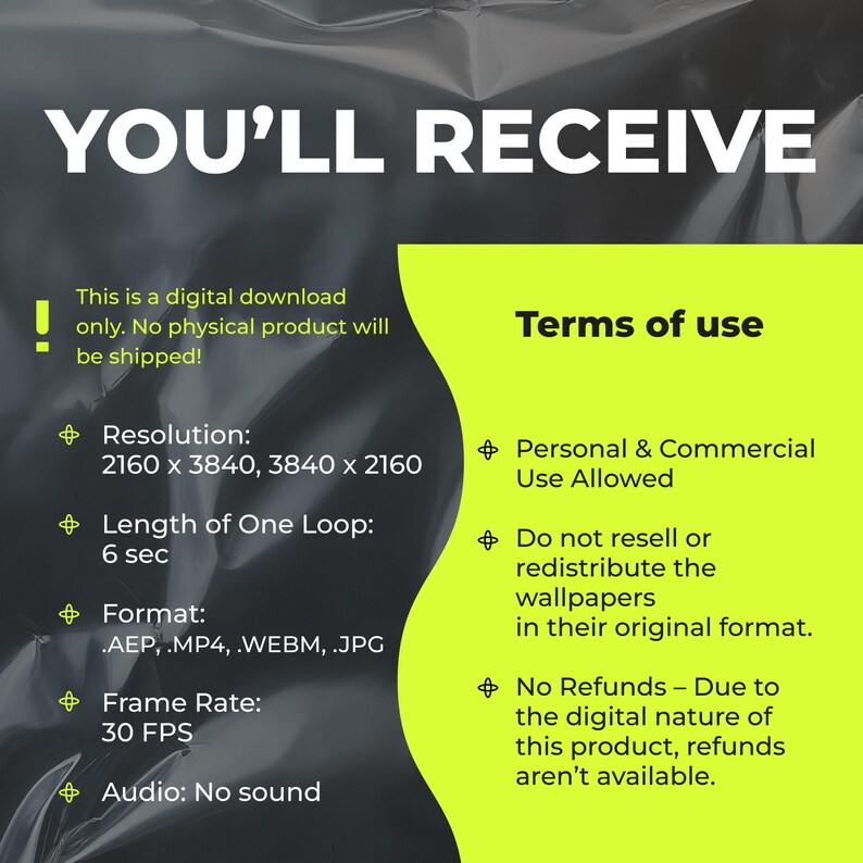 May include: Image with the text "YOU'LL RECEIVE" and details about a digital download. Includes resolution, loop length, format, frame rate, and audio information. Also lists terms of use, including personal and commercial use allowed.