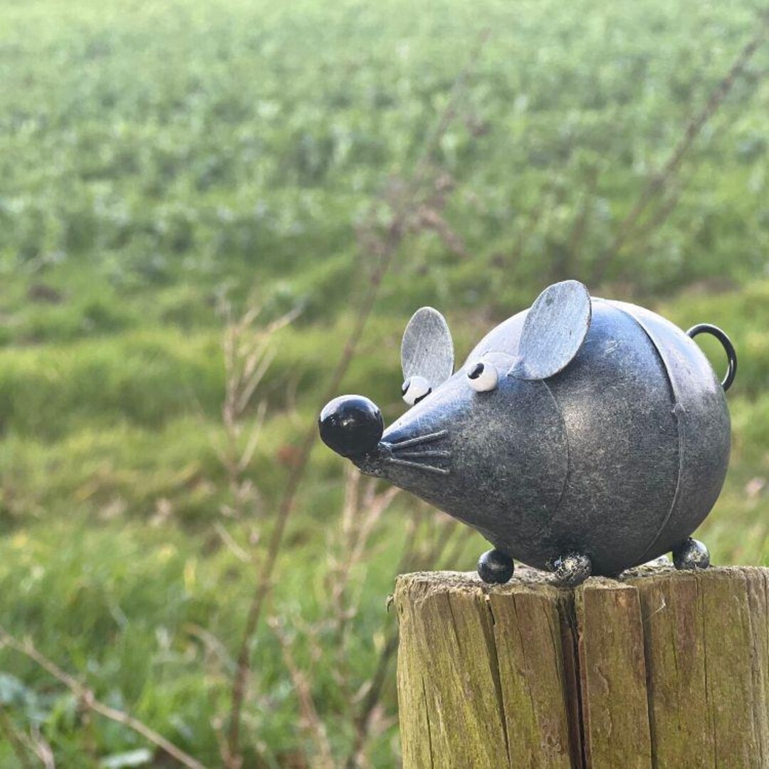 Handcrafted Grey Metal Cute Mouse for Indoors or Outdoor Use. Garden ...