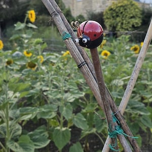 May include: A metal ladybird garden ornament with a red and black body, attached to a bamboo cane. The ladybird has large eyes and antennae. The background shows sunflowers in a garden setting.