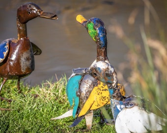 Recycled Metal Coloured Duckling. Outdoor Garden Sculptures, Statue. Ducks