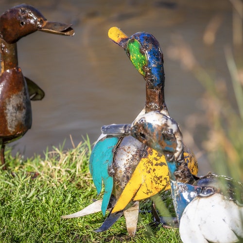 Recycled Metal Coloured Duckling. Outdoor Garden Sculptures, Statue. Ducks