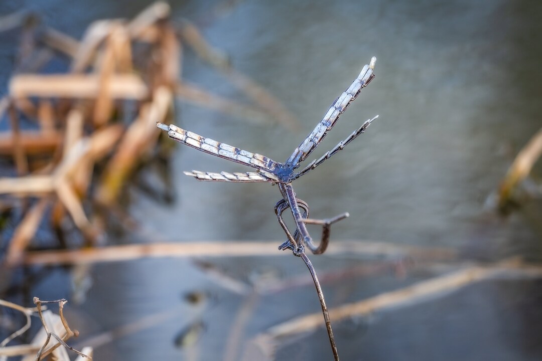 Handcrafted Metal Dragonfly Garden Stake. Outdoor Garden Sculptures ...