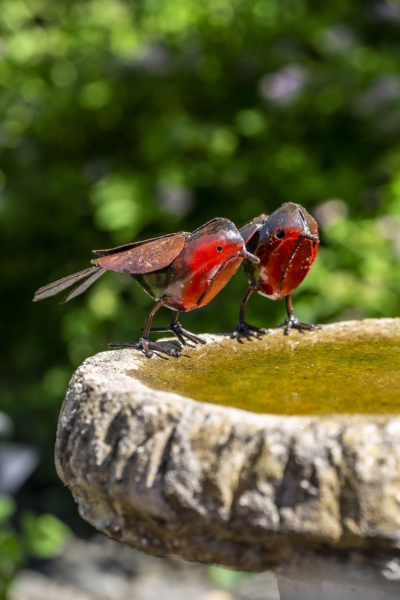 May include: Two red and brown metal bird figurines perched on the edge of a stone bird bath. The bath is filled with water.