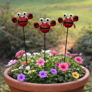 May include: Three red metal crab garden stakes with googly eyes and black accents are placed in a terracotta pot filled with colourful flowers. The crab stakes add a whimsical touch to the garden decor.