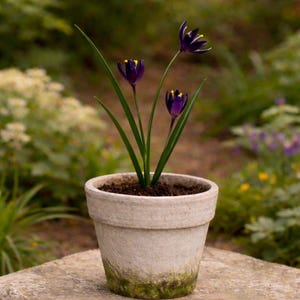 Handcrafted Metal Outdoor Delicate purple Crocus Flower. Garden Flower Sculptures. English Garden