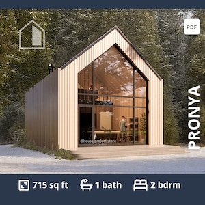 Scandinavische plattegronden met vide, 2 slaapkamers en 1 badkamer, Barndominium-plattegronden van 1000 vierkante voet, ADU klein huis, plattegronden kleine hut met vide