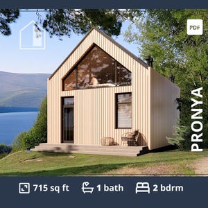 Plattegronden huisje met 2 slaapkamers, 45 x 20 Barndominium-vloer, kleine ADU-plannen van 1000 sf, plattegronden moderne hut met vide, aangepaste tekening-pdf