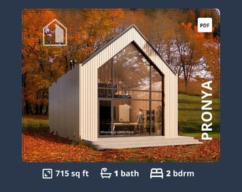 700 SF Modern Barndominium House Plans, 2 Bedroom Farmhouse with Loft (PDF)