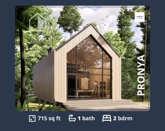 Modern Barndominium Floor Plans: 2 Bedroom Cabin with Loft (PDF)