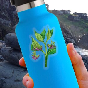 May include: A blue reusable water bottle with a sticker of a green plant with purple flowers. The plant is a botanical illustration of a comfrey plant.