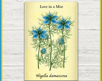 Love in a Mist Print | Nigella damascena | Remastered Scientific Illustration | 4x6 Print | Wall Art | Postcard | Physical Print