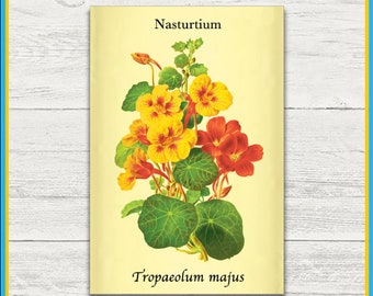 Nasturtium Print | Tropaeolum majus | Remastered Scientific Illustration | 4x6 Print | Wall Art | Postcard | Physical Print