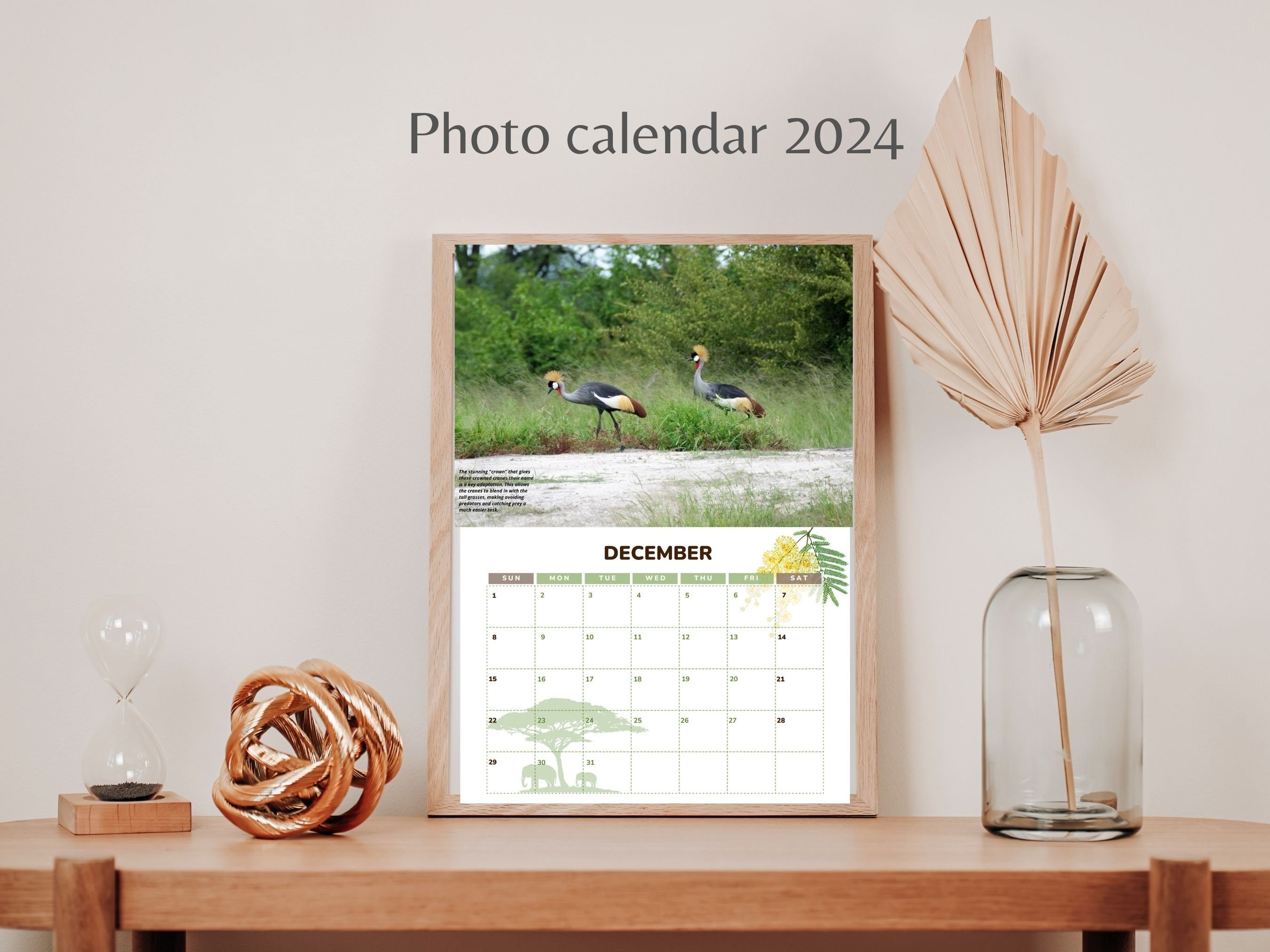 12 Month Photo Calendar, 2024 Photo Prints, Photo Gift for Class Room