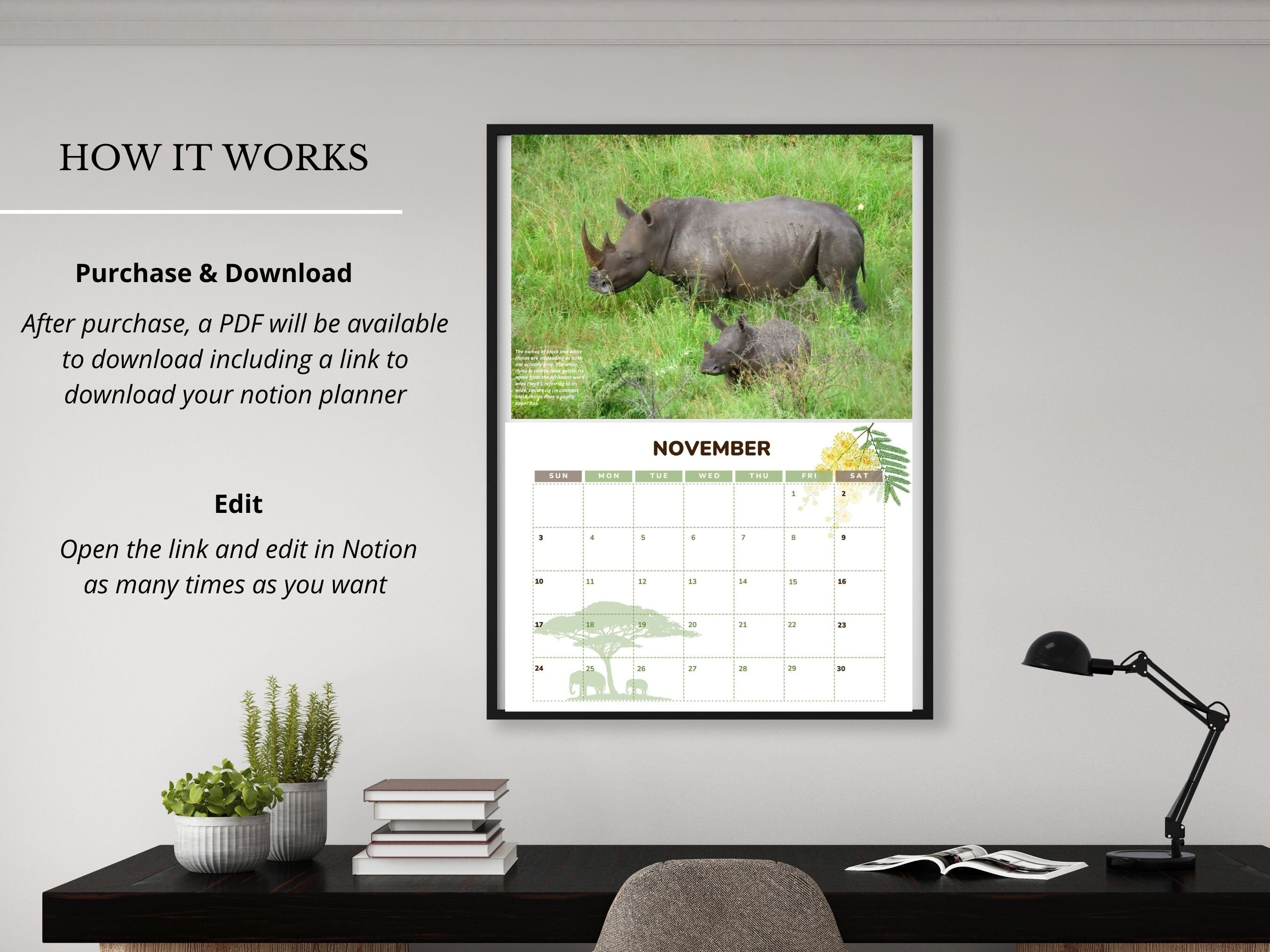 12 Month Photo Calendar, 2024 Photo Prints, Photo Gift for Class Room